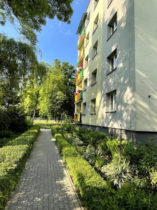 Sunny Apartment In Silesia Czeladź Exteriör bild